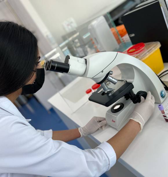 international-collaboration