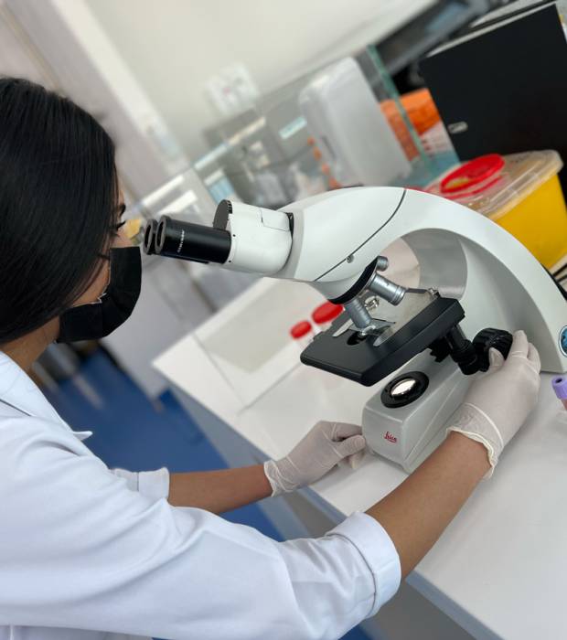 international-collaboration